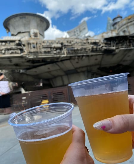 My Galaxy's Edge Game Plan: Mom-Tested Tips and Strategies That Actually Work