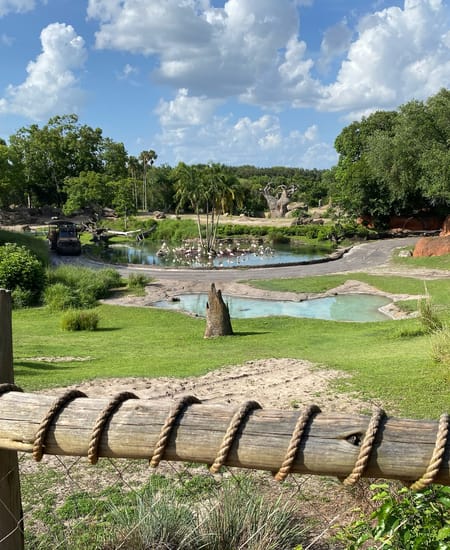 Savor the Savannah Tour Review: The Animal Kingdom Experience That Made Us Forget About the Price Tag